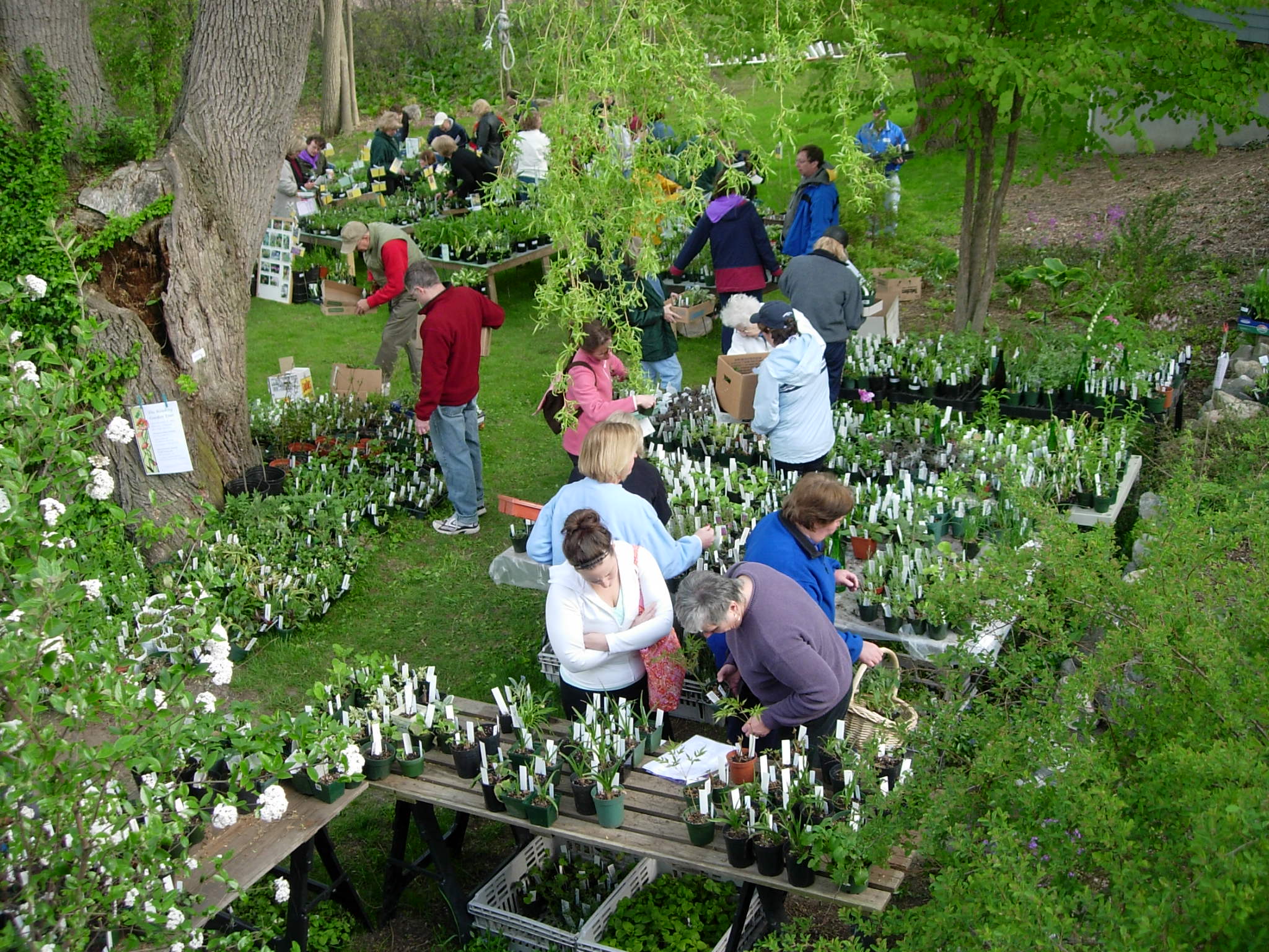 Photo by Terry Hale: Sister Plants growers at the 2002 Plant Sale